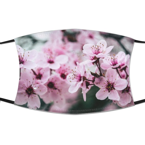 Create a Morrisons and Asda photo cake Wellbeing Yours